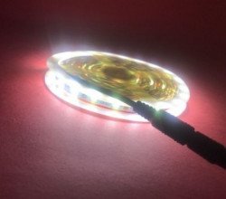 LED traka 5050 5m 14.4W/1m silikonska HLADNO BELA