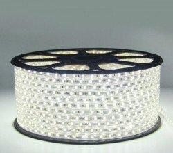 LED traka vodootporna 100m HLADNO BELA
