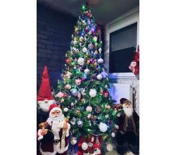 Novogodišnja jelka 240cm Novogodišnja jelka 240cm