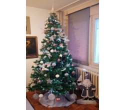 Novogodišnja jelka 240cm Novogodišnja jelka 240cm